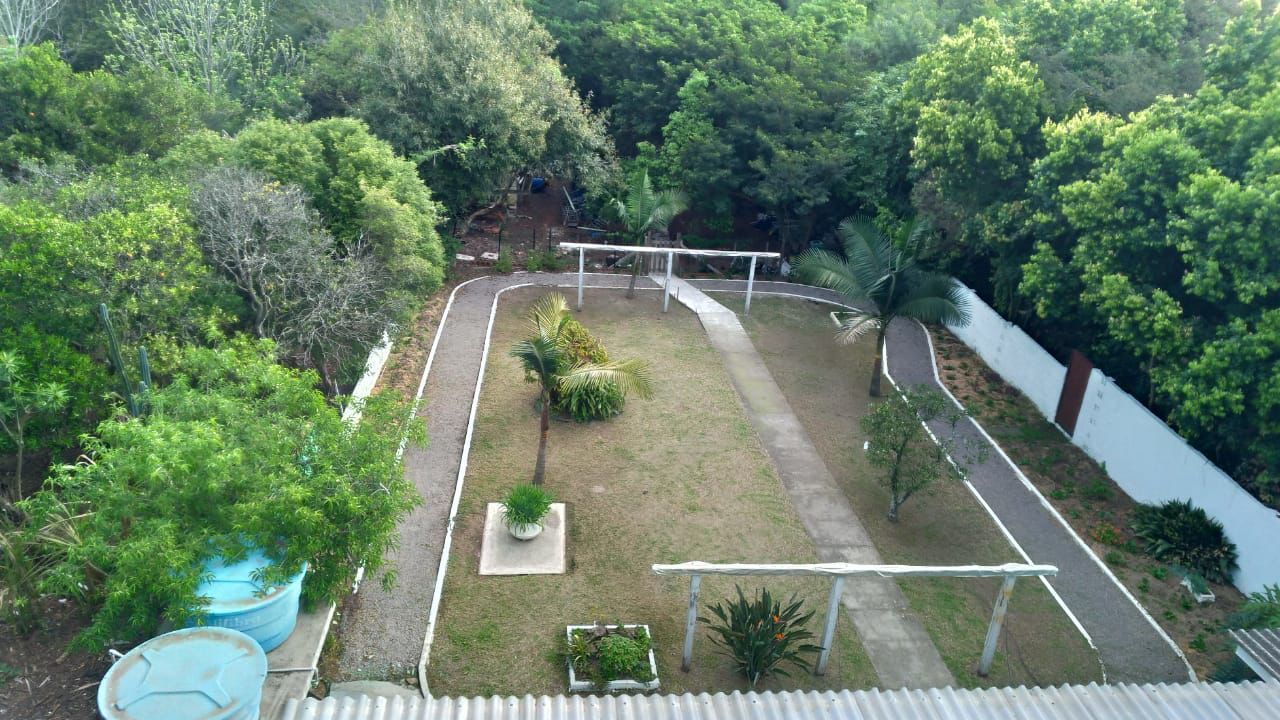 Vista aérea do jardim e pista de caminhada